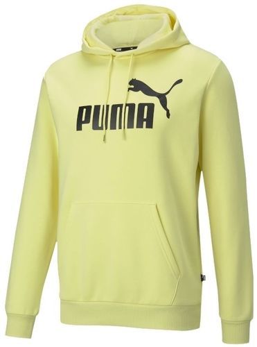 PUMA-Puma Essentials Big Logo Hoodie-image-1