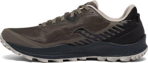 SAUCONY-Peregrine 11-2