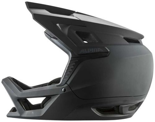 Alpina-Alpinaroca - Casque de VTT-1