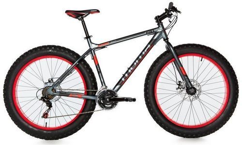 Vtt 26 discount pouces taille xl