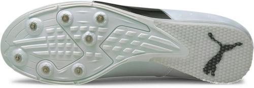 PUMA-Evospeed Triple Jump PV 6-1