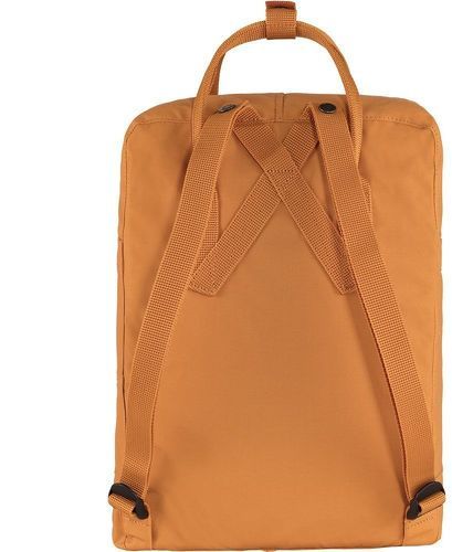 FJALLRAVEN-Fjällräven Kånken 16l-1