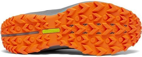 SAUCONY-Peregrine 11-3