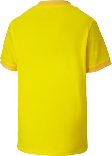 PUMA-Teamfinal 21 Jersey Jr-1