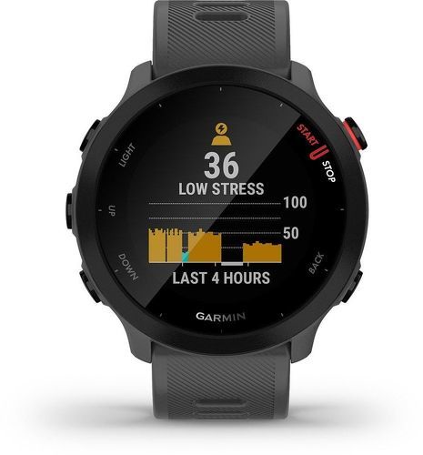 GARMIN-Garmin Montre Forerunner 55-3