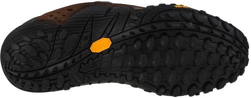 MERRELL-Intercept-3