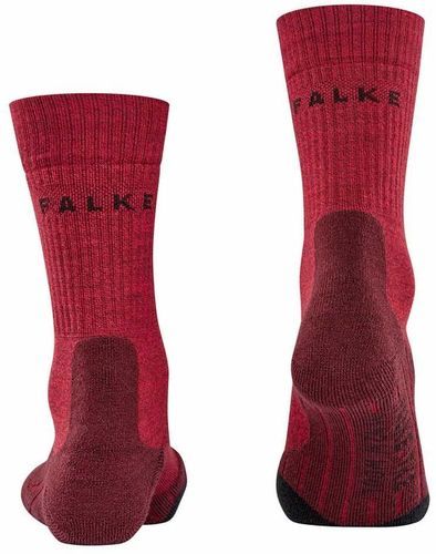 FALKE-Falke Des Chaussettes Tk2 Wool-1