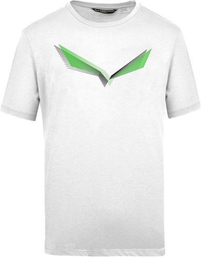 SALEWA-T-Shirt LINES GRAPHIC DRY M T-SHIRT Uomo-image-1