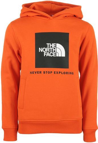 THE NORTH FACE-Box Hoodie Kids-image-1
