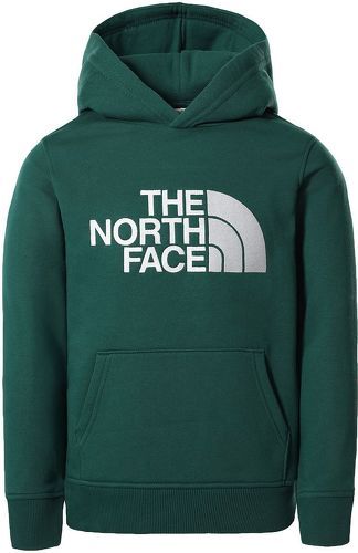 THE NORTH FACE-Drew Peak Pullover Hoodie Kids-image-1