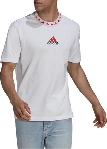 adidas Performance-T-shirt FC Bayern Icons-1