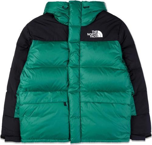 THE NORTH FACE-hmlyn down parka fnl1-image-1