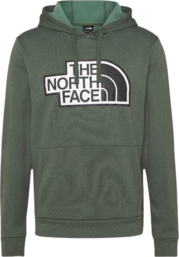 THE NORTH FACE-Exploration - Sweat-2