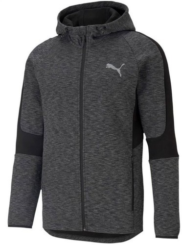 PUMA-Fd Evo Hoody - Veste de fitness-0