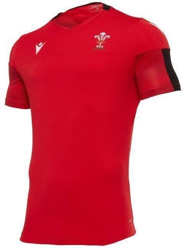 MACRON-Maillot Rugby Macron Replica WRU Pays de Galles Training-image-1