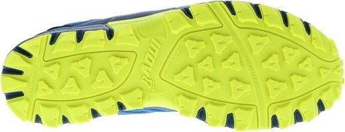 inov-8-TrailTalon 290-1