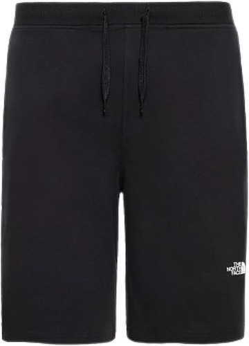 THE NORTH FACE-Graphic - Short-0