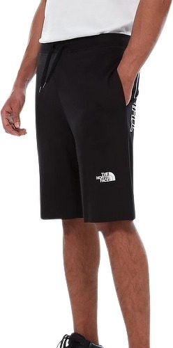 THE NORTH FACE-Graphic - Short-2