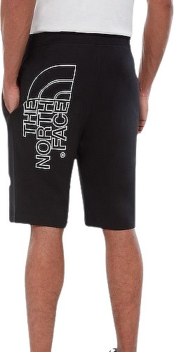 THE NORTH FACE-Graphic - Short-3