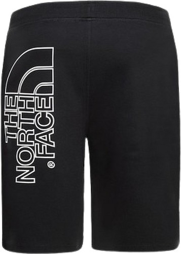 THE NORTH FACE-Graphic - Short-1