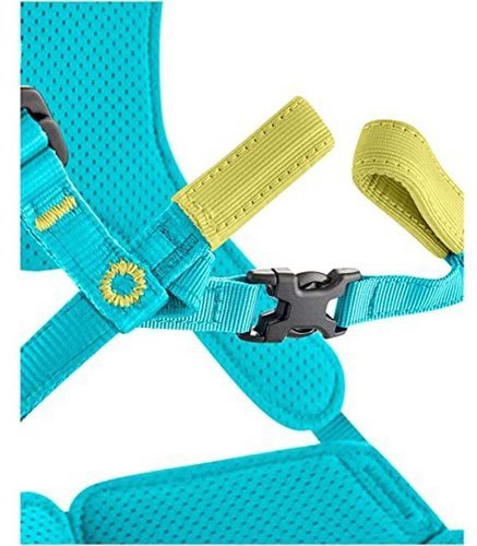 EDELRID-Edelrid Harnais Fraggle Iii-3