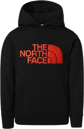 THE NORTH FACE-Sweat à capuche The North Face Drew Peak enfant-image-1