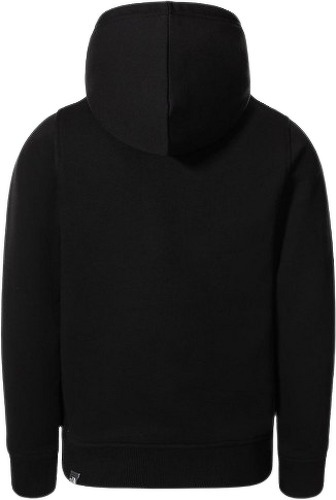 THE NORTH FACE-Drew Peak - Sweat-1