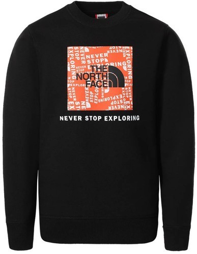 THE NORTH FACE-The North Face Box Crew - Sweat-0