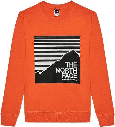 THE NORTH FACE-The North Face Box Crew - Sweat-0