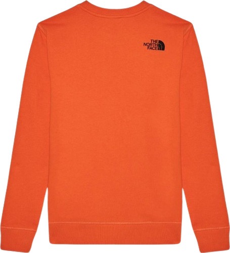 THE NORTH FACE-The North Face Box Crew - Sweat-1