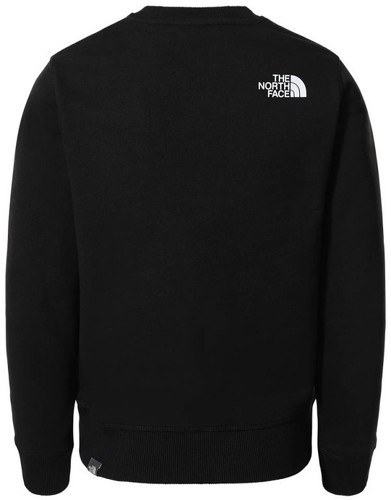 THE NORTH FACE-The North Face Box Crew - Sweat-1