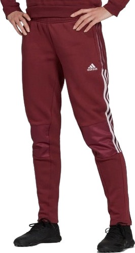 adidas Sportswear-Pantalon d'entraînement adidas femme Tiro Wrapped rouge foncé / blanc-image-1