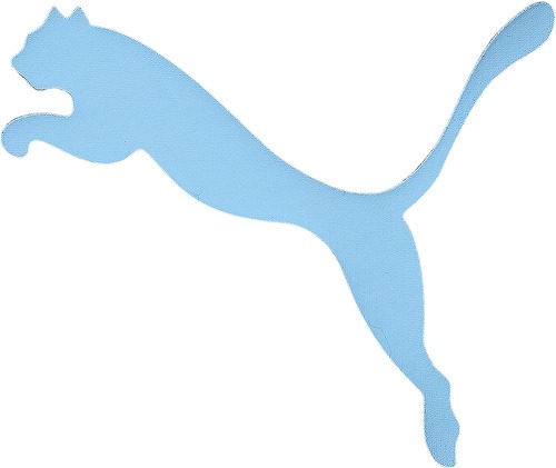 PUMA-Puma Rencontre Manchester City Fc Pre 21/22-2