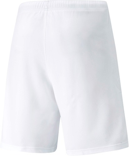 PUMA-Short TeamRISE-1