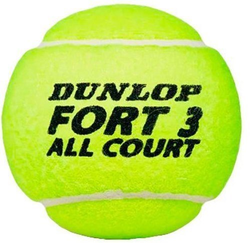 DUNLOP-Dunlop Balle Fort All Court Ts 2 Unités-1