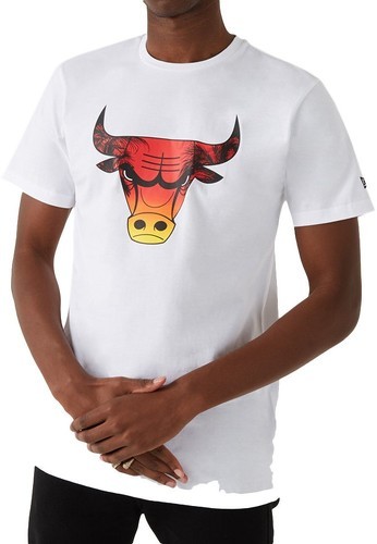 NEW ERA-Chicago Bulls New Era Summer City - T-shirt de basketball-0