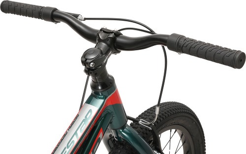 BIKESTAR-BIKESTAR Vélo enfant en aluminium, garcons et filles de 5 ans | Bicyclette de montagne VTT 18 pouces avec freins en V | Vert-4