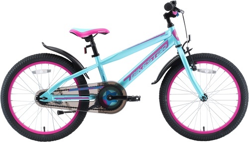 BIKESTAR-BIKESTAR Vélo enfant pour garcons et filles de 6 ans | Bicyclette enfant 20 pouces Mountainbike avec freins-1