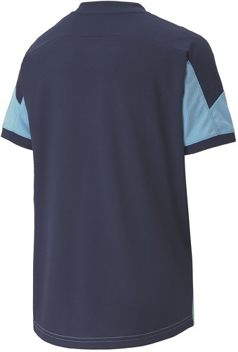 PUMA-Puma Manchester City (training) - Maillot de foot-1