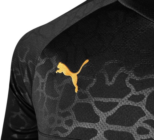 PUMA-OM (third)-2