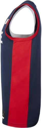 JORDAN-Equipe De France Jordan Limited Edition Road - Maillot de basketball-2