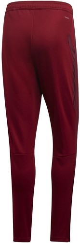 adidas Performance-Rp Tr Pnt-1