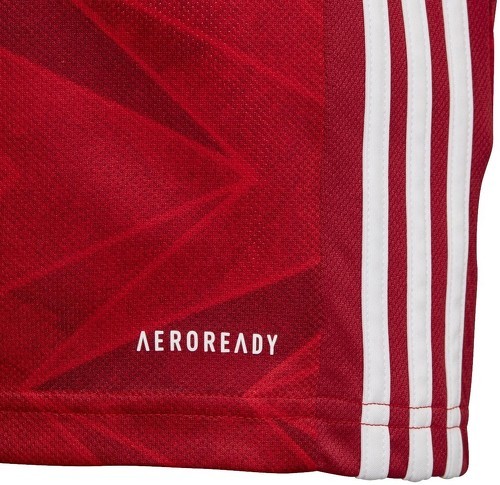 adidas Performance-Arsenal Fc 2020/2021 (Domicile) - Ensemble de foot-2