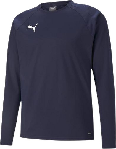 PUMA-Teamliga Training Sweat - Sweat de football-0
