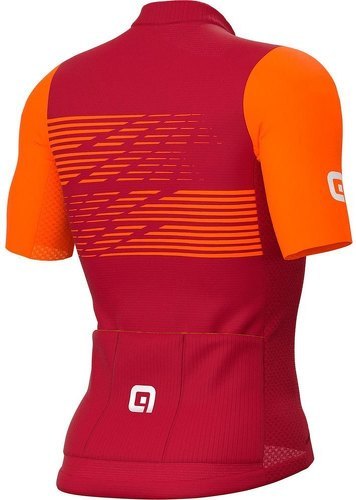 Ale-Ale Logo - Maillot de vélo-1