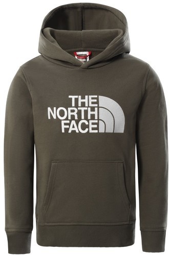 THE NORTH FACE-The North Face Y Drew Peak P/O Hoodie (Kids)-image-1