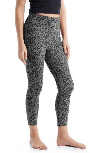 ICEBREAKER-Icebreaker Fastray High Rise Tights Forest Shadow - Pantalon de randonnée-2