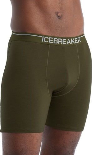 ICEBREAKER--image-1