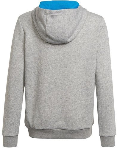 adidas Sportswear-Sweat-shirt à capuche Essentials-1