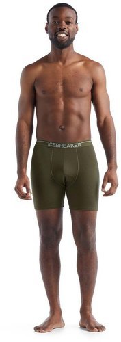 ICEBREAKER-Icebreaker M Anatomica Long Boxers-2